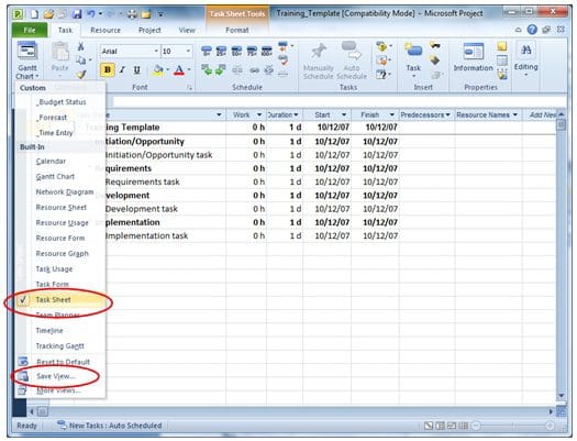 Microsoft Project View Mastery